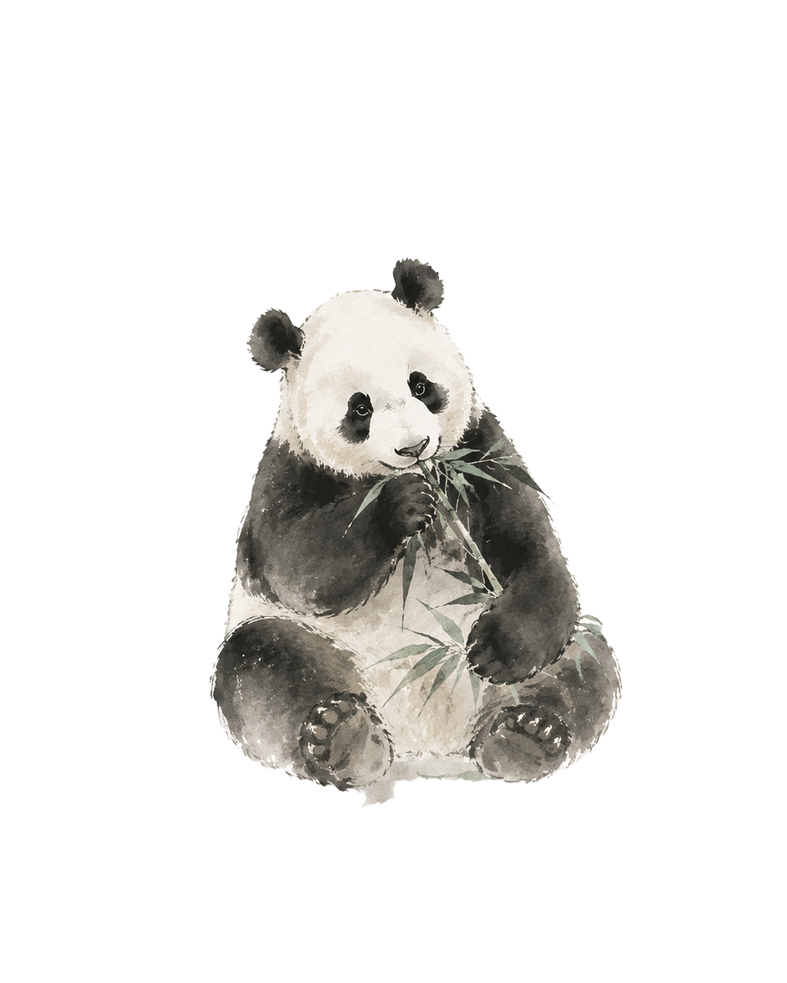 熊猫与竹子插画